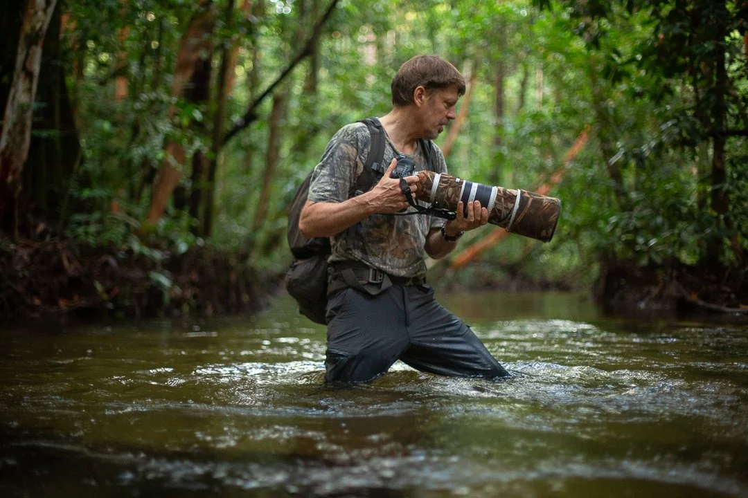Tim Laman crouched in a stream with his camera, working behind the scenes