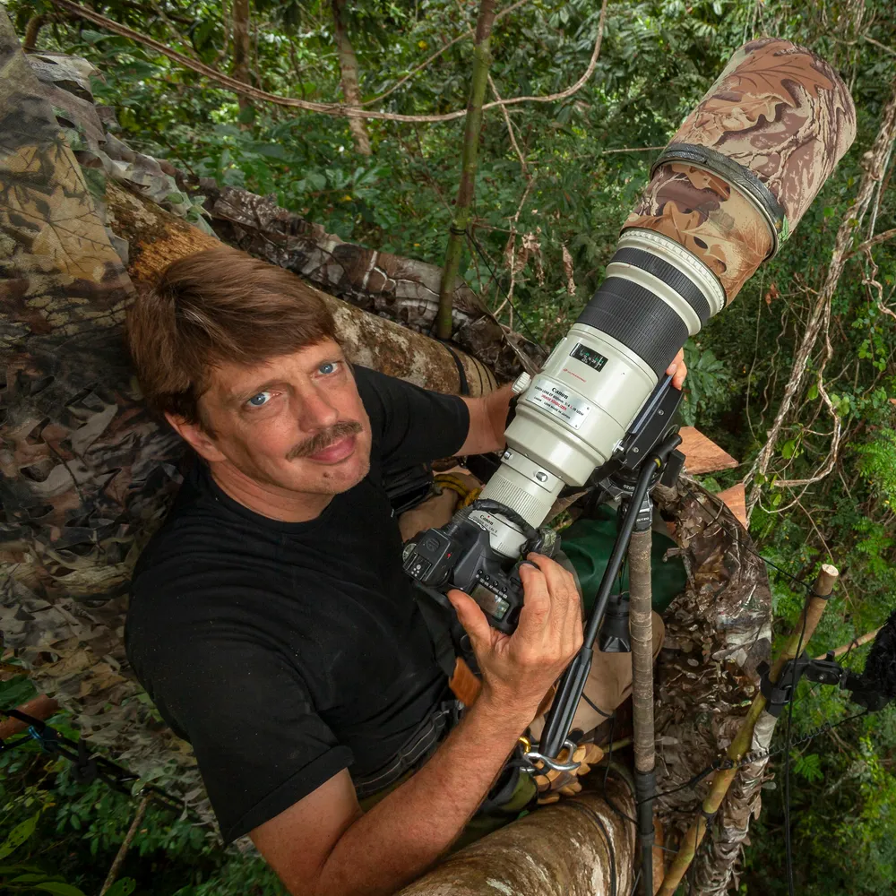 Tim Laman crouched in a rainforest canopy hide behind a large telephoto lens